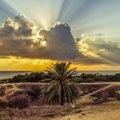 Paphos – 320 päikeselise päevaga ajaloohõnguline kuurort Küprosel. Loe, miks seda külastada!