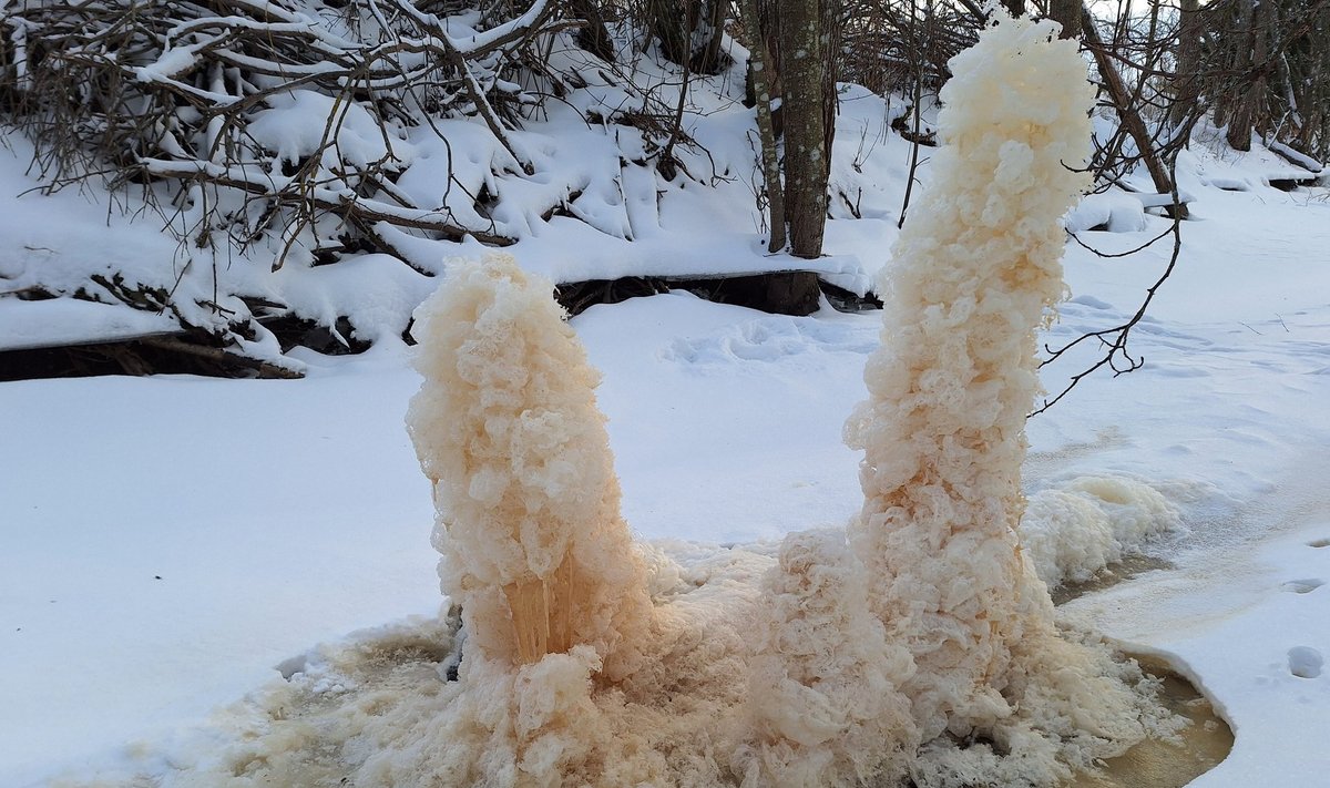Необычные ледяные скульптуры на Хийумаа.