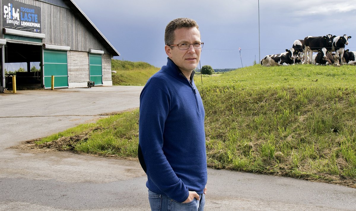 "Soovime Kaiusse ehitada uue farmi 1200 lüpsilehmale, samuti laiendada Väätsa farmi veel tuhande lehma võrra," avab Trigon Dairy Farming Estonia juhatuse liige Margus Muld lennukaid tulevikuplaane.