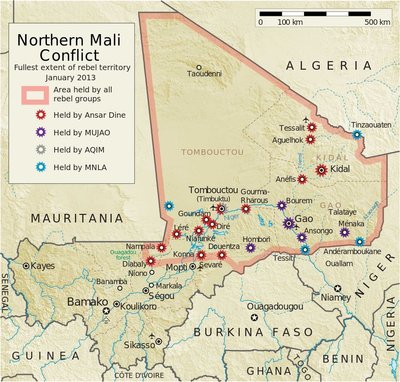 Mali kodusõja tanner 2012
