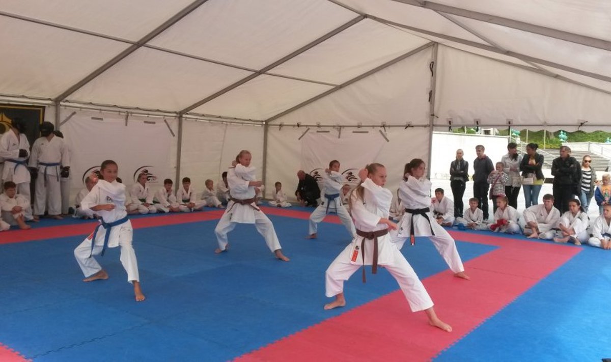 Karate demonstratsioon Vabaduse väljakul
