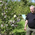 VIDEO: Eksootilised magnooliad kasvavad ka külmas Eestis