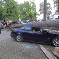 ФОТО И ВИДЕО DELFI: Упавшее из-за шторма дерево смяло BMW