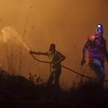ФОТО: В Испании и Португалии из-за сильных лесных пожаров погибли не менее 30 человек