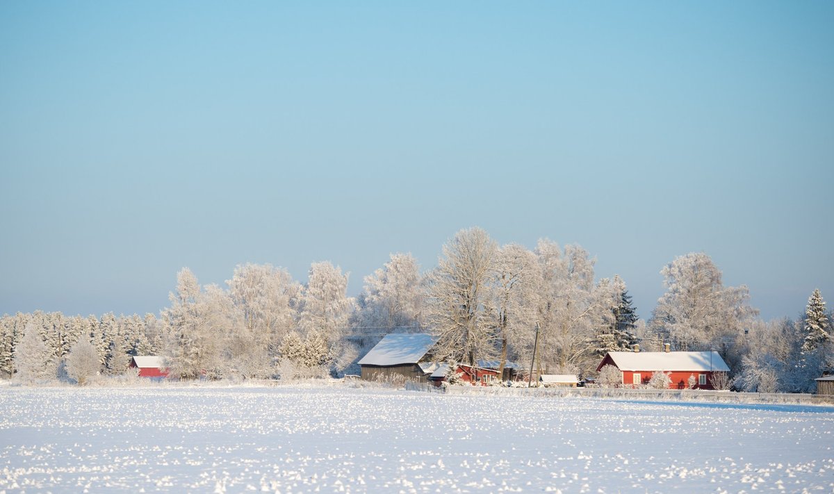 Talv Miila külas