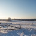 Метеорологи предрекают Эстонии на первой неделе нового года до 30 градусов мороза