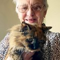 ФОТО | Самая старая кошка в мире отпраздновала 32-летие