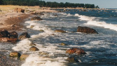 KAART | Eesti rannikumeri kasvab kinni, heas seisundis on vaid üks koht