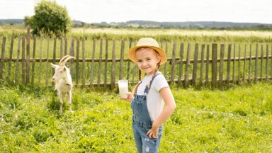 TUNNE TOITU | Toiduteadlaste põhjalik ülevaade piimast: kvaliteetsete piimatoodete vältimisel on omad keerukad tagajärjed