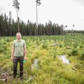 Tunnustatud metsamajandaja: ainult looduslikust uuendamisest ei piisa