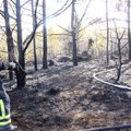 FOTOD: Muhu metsapõlengu leegid ulatusid männilatvadeni ja üks pere kartis majast ilma jääda