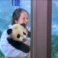 Reutersi video: Pandakutsikas Bao Bao