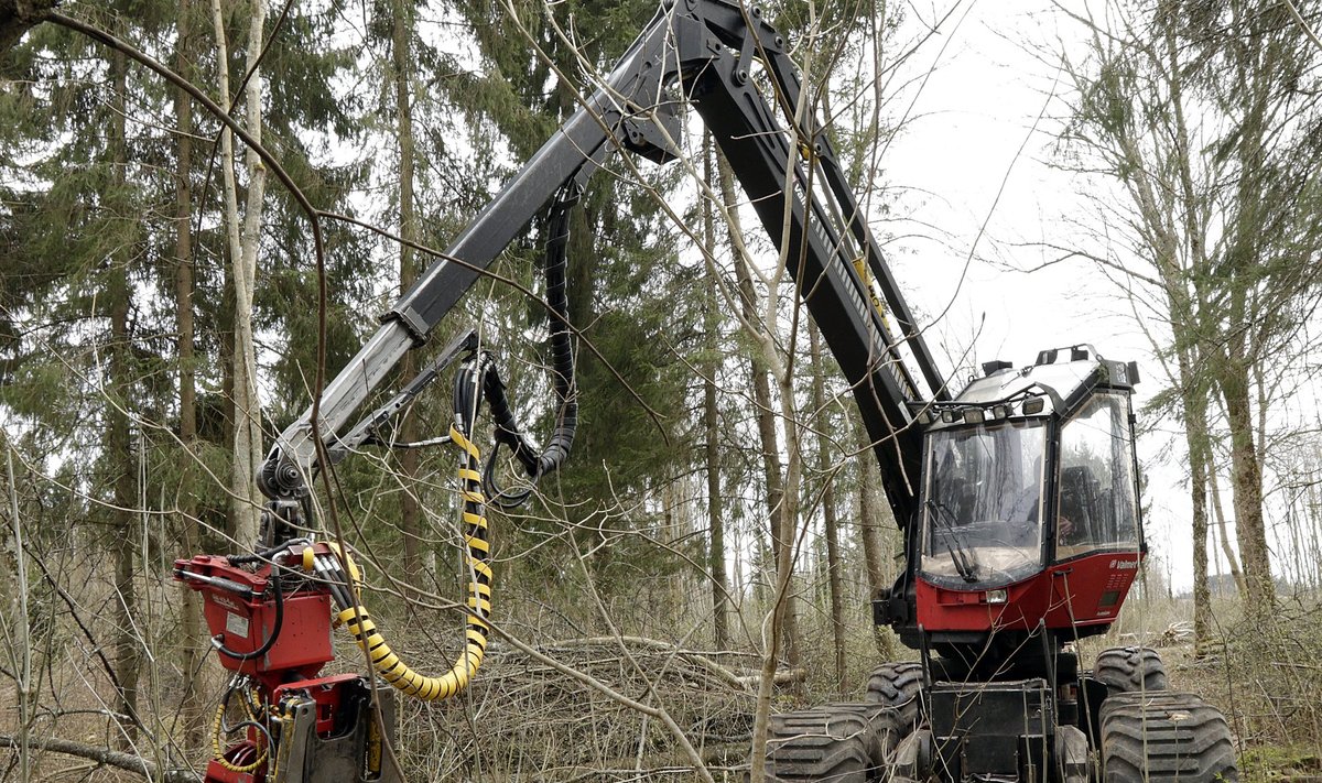 Võsagiljotiin – seade peenikeste puude läbihammustamiseks, käib harvesteri või ekskavaatori noole otsa.