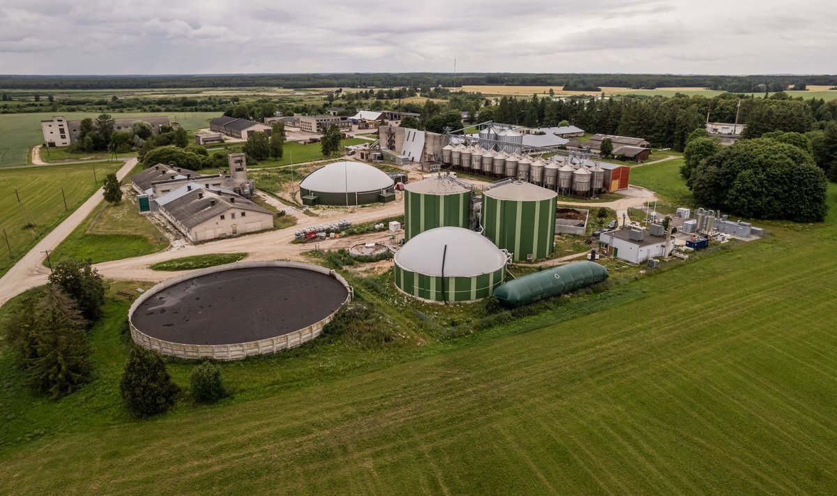 Tartu külje all Ilmatsalus asuv biogaasitehas võib jääda tühjalt seisma, kui riigi tegevus saadab hingusele Tartu Agro loomakasvatuse.