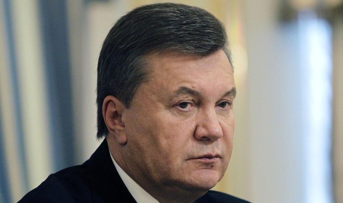 Ukrainian President Yanukovich is seen during his meeting with European Commissioner for Enlargement and European Neighbourhood Policy Fule in Kiev