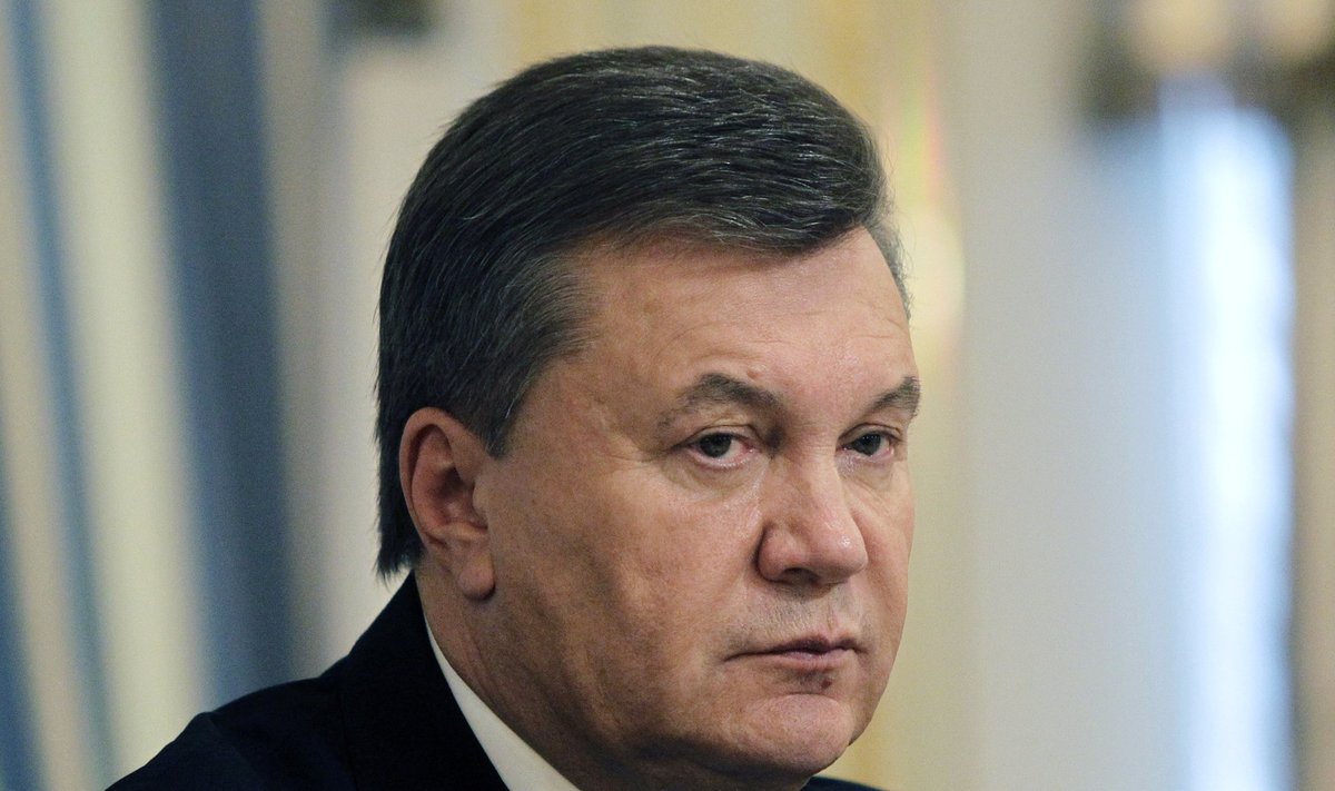 Ukrainian President Yanukovich is seen during his meeting with European Commissioner for Enlargement and European Neighbourhood Policy Fule in Kiev