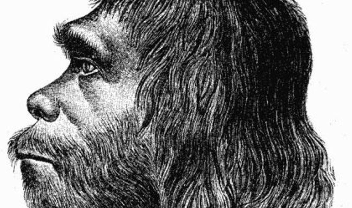 Neandertallane. Allikas: Wikipedia