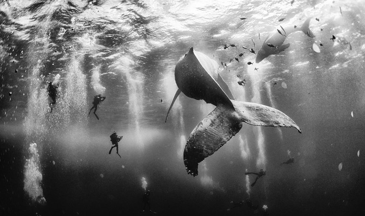 Anuar Patjane / National Geographic Traveler Photo Contest