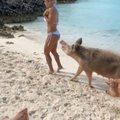 VIDEO | Valus! Instagrami tähe pildiseeria rannal lõppes ootamatu hammustusega kannikal