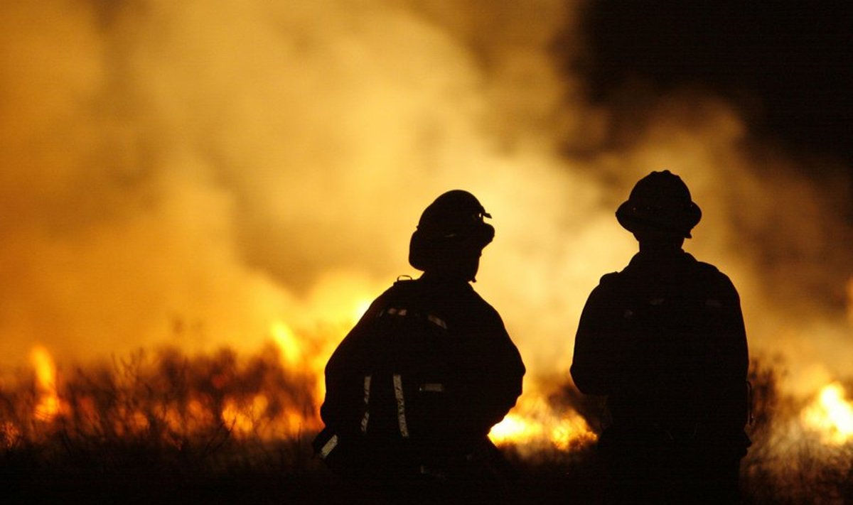 Venemaa tuletõrjujad on tänaseks esimest korda suutunud põlengute arvu vähendada.