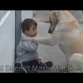 VIDEO: Ülimalt liigutav! Koer püüab Downi sündroomiga lapsele oma kiindumust ja hoolt näidata