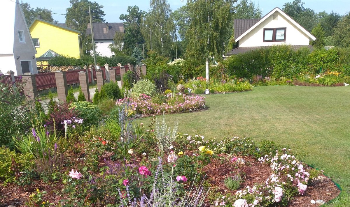 Meie kodu 2018 - aed Uuskülas