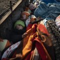 ÜRO raport: maailmas elab rekordarv põgenikke
