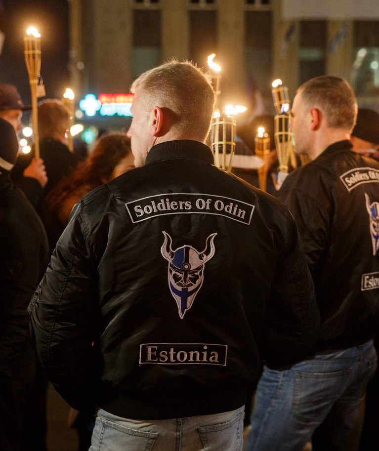 Soome ja Eesti Odini Sõdurite sarnased liikumised Saksamaal, Rootsis ja Norras muutusid nähtavamaks ja said isegi parlamenti.