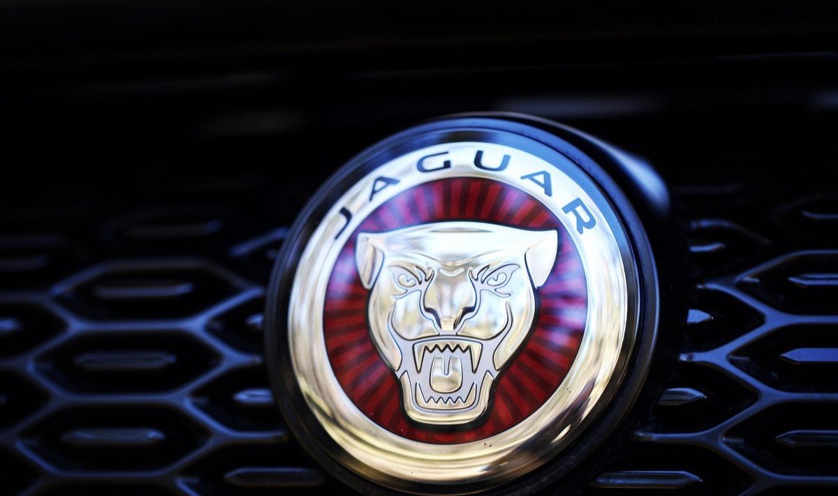 Ilmselt hüppab kõigile esimesena pähe Jaguar, kuid teisi kassihõngulisi automarke ja -mudeleid on veel!