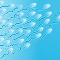 Huvitavaid fakte spermast