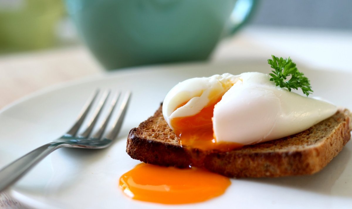 Pošeeritud muna röstsaial on klassikaline hommikusöök pooles Euroopas.