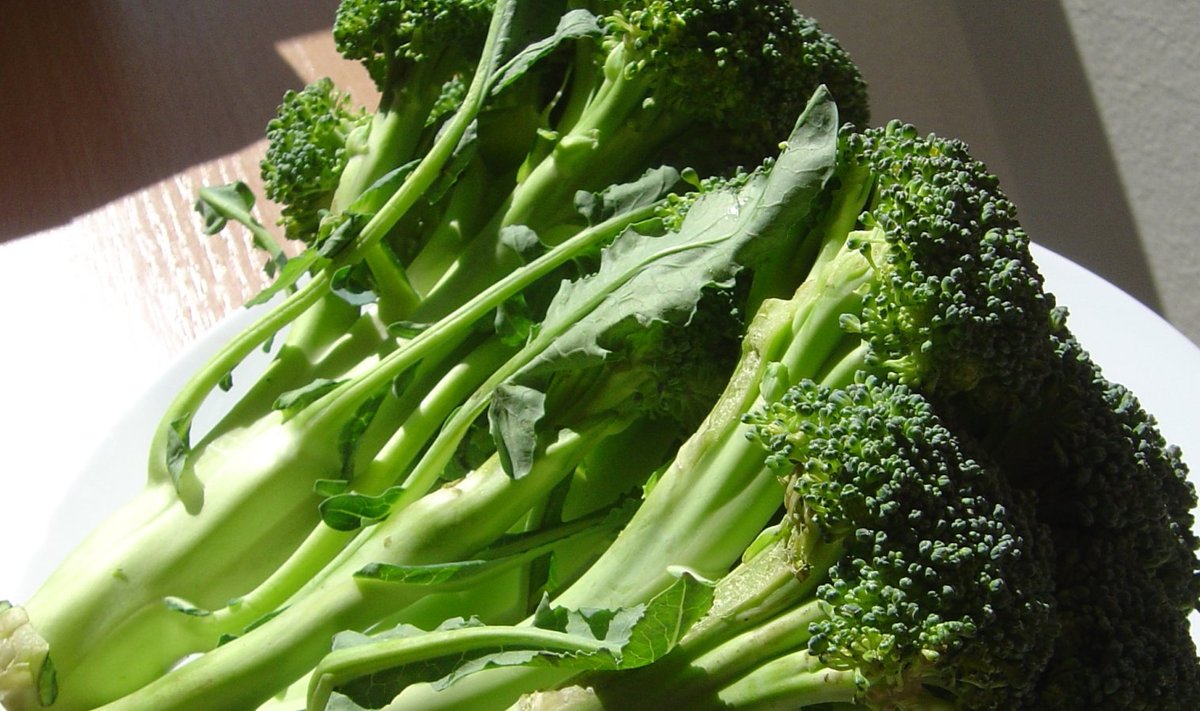 Brokoli. (Foto: Wikimedia Commons / David Monniaux)