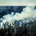 Rootsi annab 11 miljonit eurot metsapõlengute kahjude hüvitamiseks