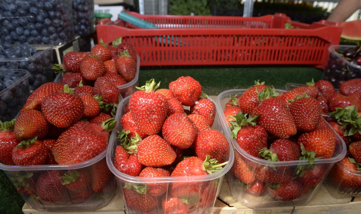 Välismaised maasikad Nõmme turul