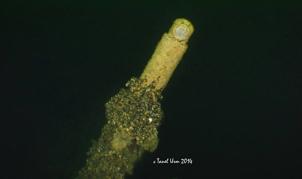 Hiiumaa lähistelt leitud allveelaeva üks osa