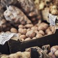 TURUHINDADE VÕRDLUS | Jaanipäeva eel müüakse varajast kartulit kahekordse hinnavahega