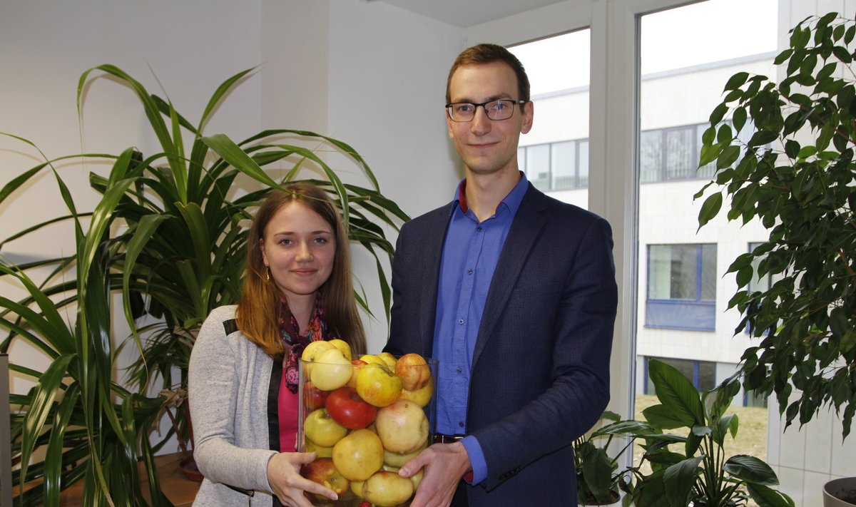 Äsja Eesti Maaülikooli lõpetanud Rachel Puusta ja Jorma Kütt kinnitavad, et aianduse eriala õppides huvi selle valdkonna vastu üha kasvas. Aiandusega plaanivad nad siduda ka oma tuleviku.