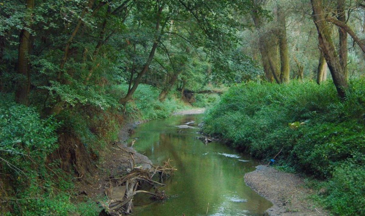 Myjava jõgi oma loomulikes toonides.