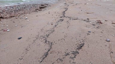 Hiiumaa rannikult avastati võimalik rannikureostus, tõenäoliselt on tegu naftasaadusega