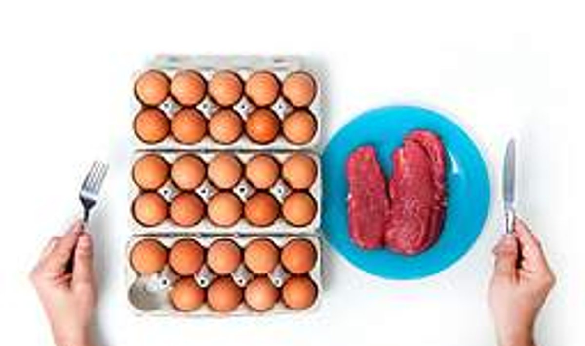 OSA PÄEVA­MENÜÜST: Munad hommikuks, 300-400 grammi toorest liha õhtusöögiks. Pildilt on väljas üks greip, selleri-peterselli mahl, piim ja või. Vallo Kruuser & Birgit Püve