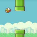 Hittmängu "Flappy Birds" looja: "Ma ei suuda seda enam taluda. Võtan mängu täna internetist maha!"