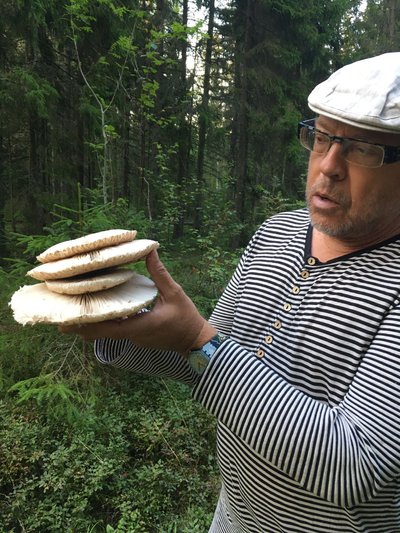 VILJAKAS PINNAS Sellised sirmikud kasvavad Läänemaal, Eve ja Reinu maakodu lähedal, mida nad nimetavad oma loomekoduks.