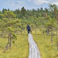 Эстония вошла в ТОП лучших стран для экотуризма
