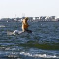 Läänemeri muutub aasta aastalt aina magedamaks
