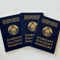 Уполномоченный офиса Тихановской в Эстонии: ведем переговоры с МИД по поводу выдачи паспортов иностранцев белорусам