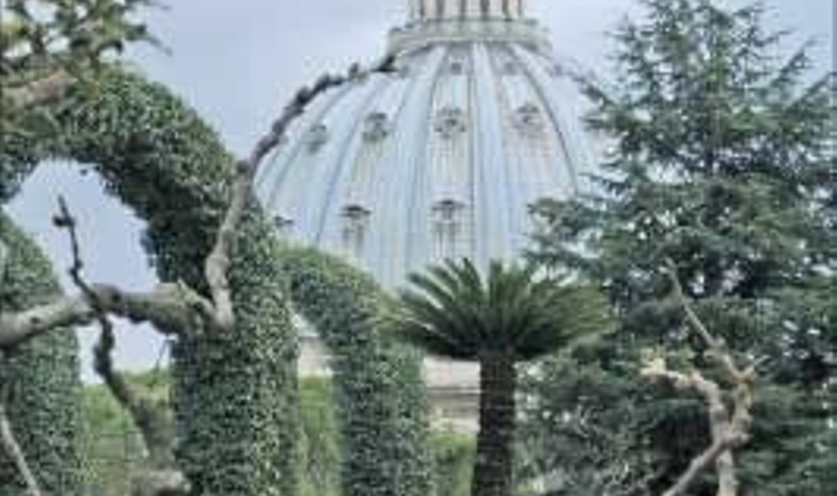 Vatikani aednikud on oma ala tõelised meistrid. Foto: Toivo Tomingas