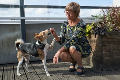 Hoolimata sellest, et Lily on juba 3-aastane, käib omanik temaga regulaarselt koertekoolis.