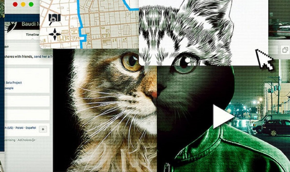 Don't F**k with Cats: Hunting an Internet Killer" - praegu Netflixis. 