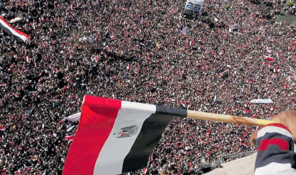 Poiss vaatab 18. veebruaril Kairos Tahriri väljakul demokraatiat nõudvaid meeleavaldajaid. Sel reedesel päeval peeti mitmel pool Egiptuses nn võidumarssi, tähistamaks Hosni Mubaraki 30-aastase valitsusaja lõppu nädal varem ja mälestamaks neid sadu inimesi, kes hukkusid 18-päevases ülestõusus. 