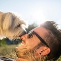 SAAME TUTTAVAKS! | Saksa uus tutvusportaal viib koera kokku tulevase omanikuga